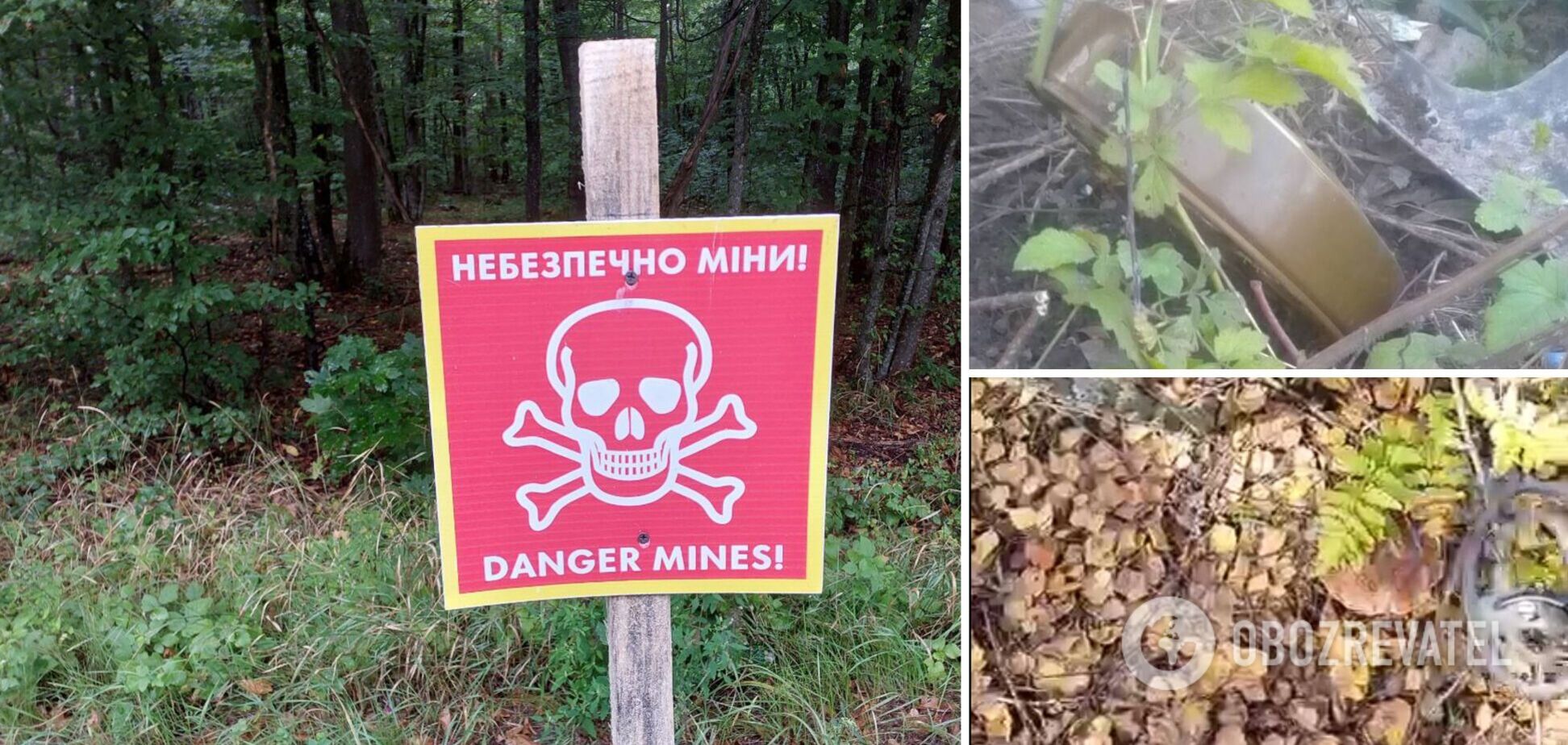 В лесах Киевщины все еще опасно ходить