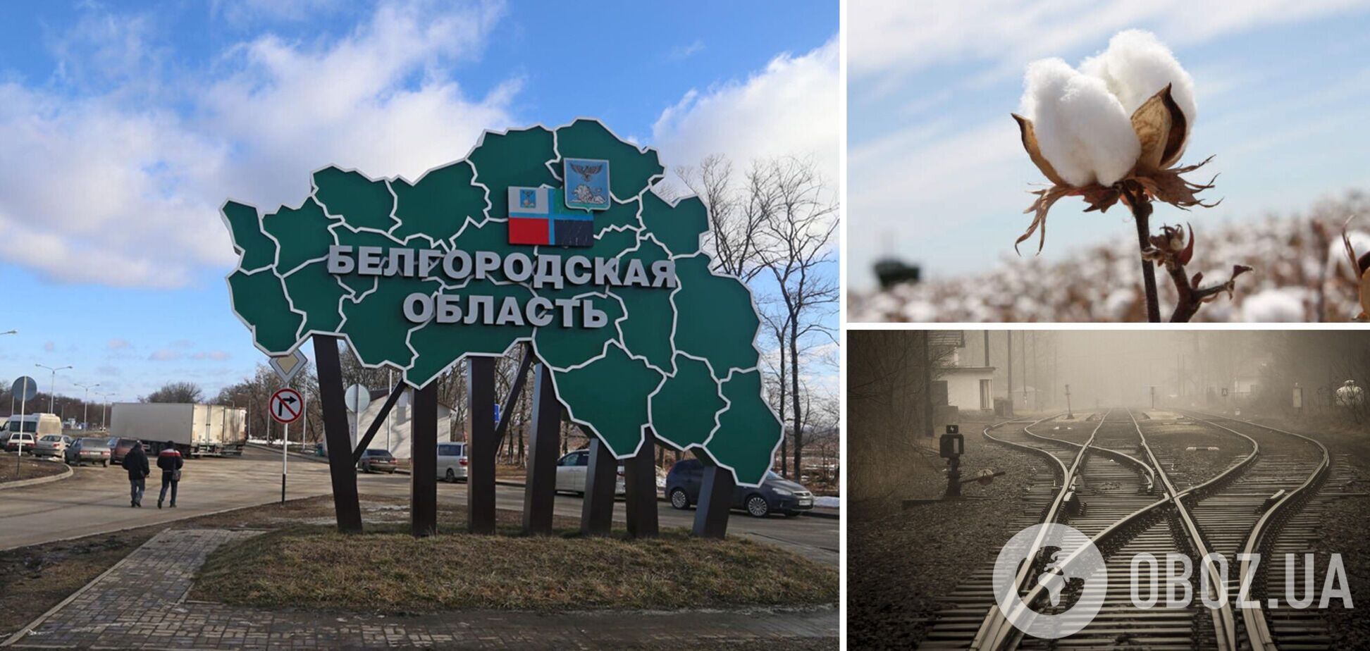 Бавовна в Белгородской области