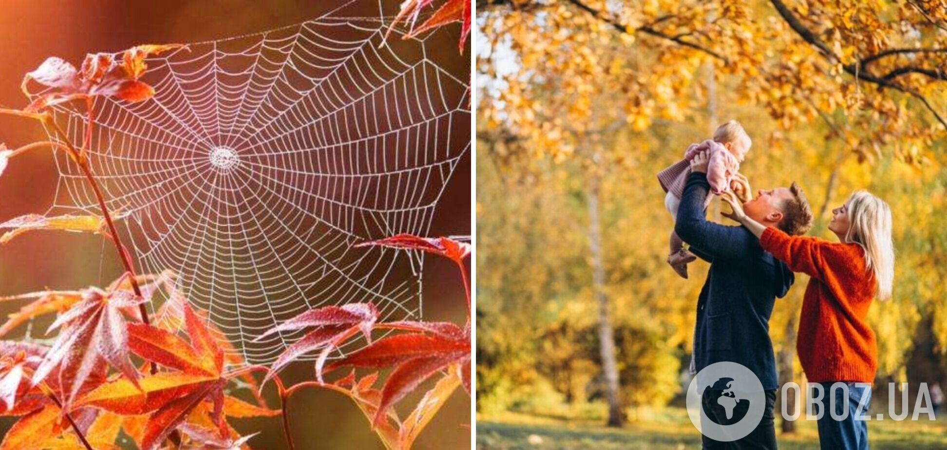 В Україні потеплішає до +24: синоптик розповів, коли настане пік бабиного літа