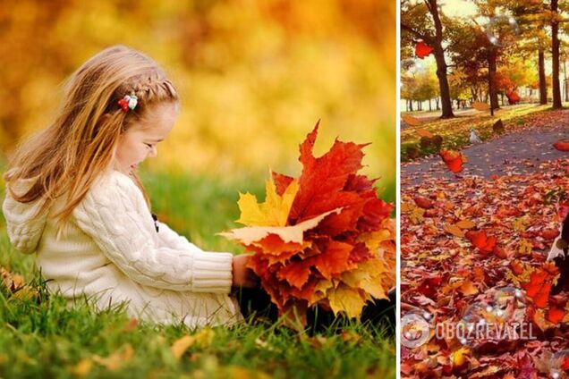 15 октября в Украине будет держаться сухая теплая погода