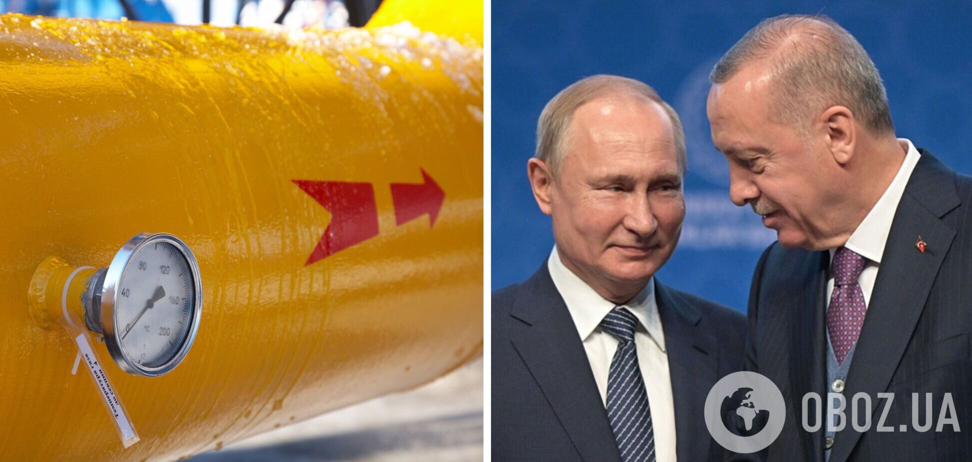 Путин и Эрдоган обсудили газовый хаб