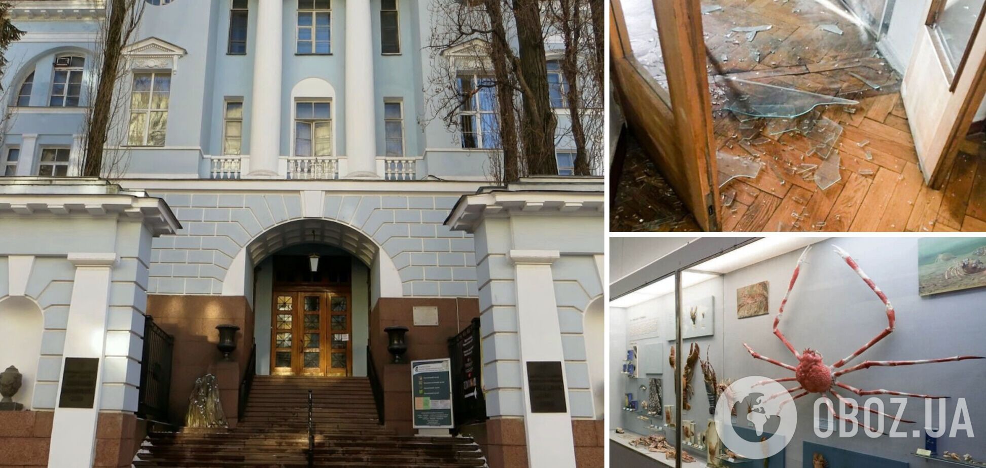 Українці збирають кошти на порятунок столичного природничого музею після обстрілу 10 жовтня