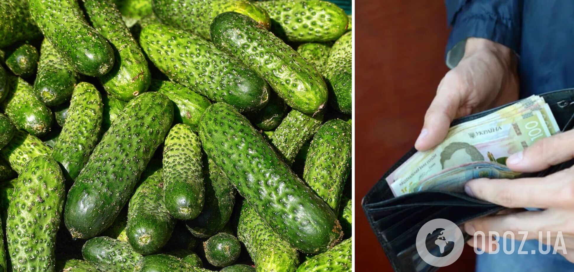 В Украине начали дешеветь огурцы