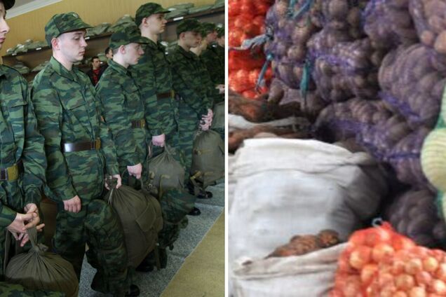 В Якутии семьям мобилизованных выдадут овощи