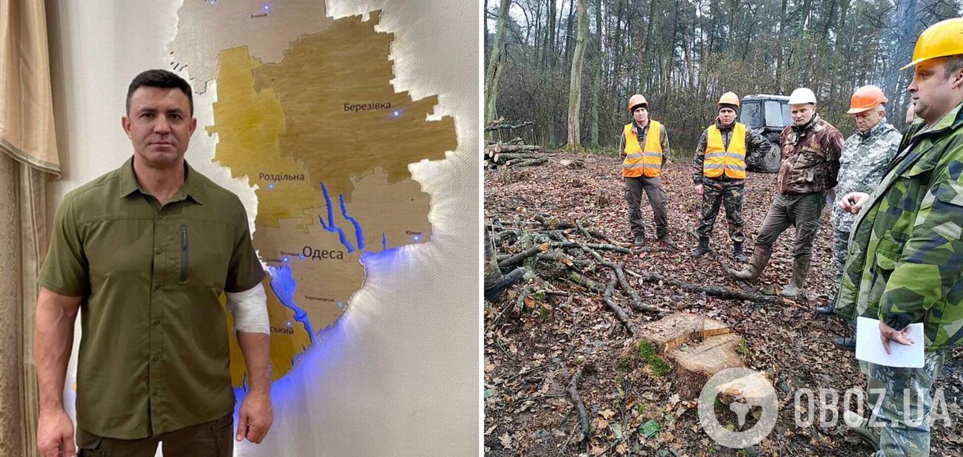 Скандальный Тищенко возглавит ВСК по расследованию возможных фактов неэффективной деятельности Гослесагентства
