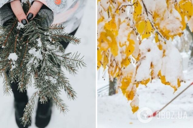 В Укргидрометцентре рассказали, какой будет грядущая зима: сильных морозов ждать не стоит