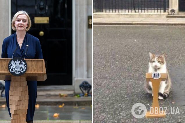 Кот Ларри из резиденции британских премьеров 'отреагировал' на отставку Лиз Трасс