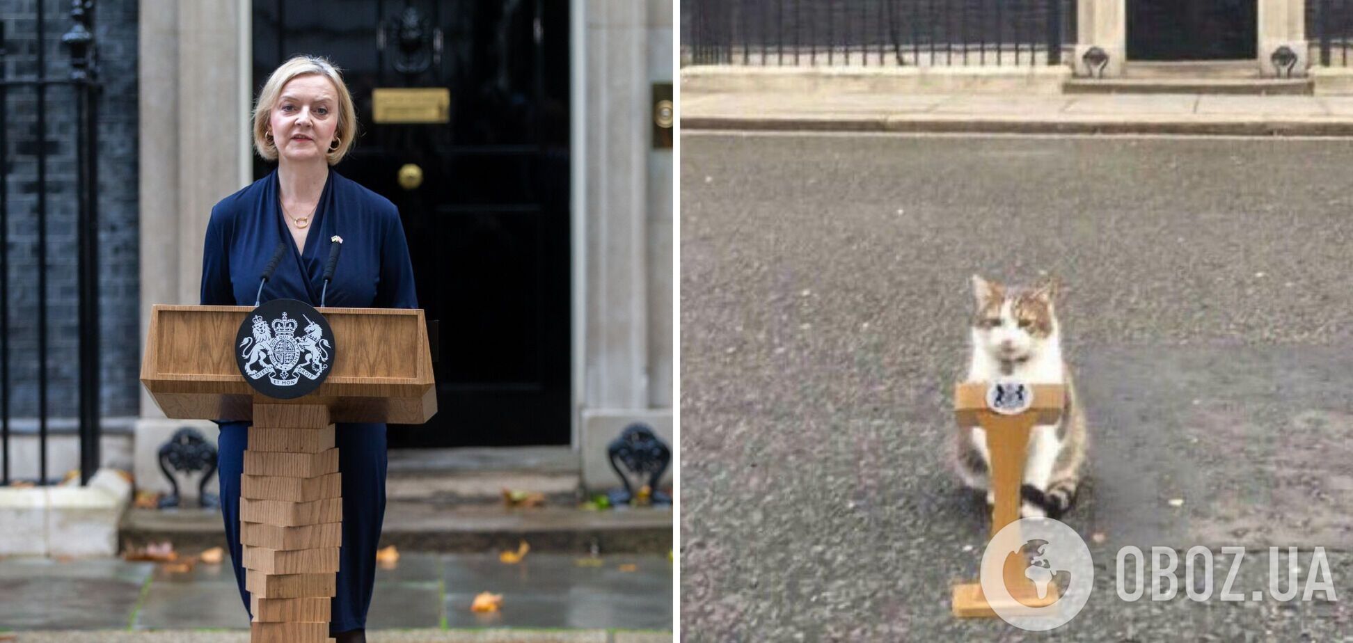 Кіт Ларрі з резиденції британських прем'єрів 'відреагував' на відставку Ліз Трасс