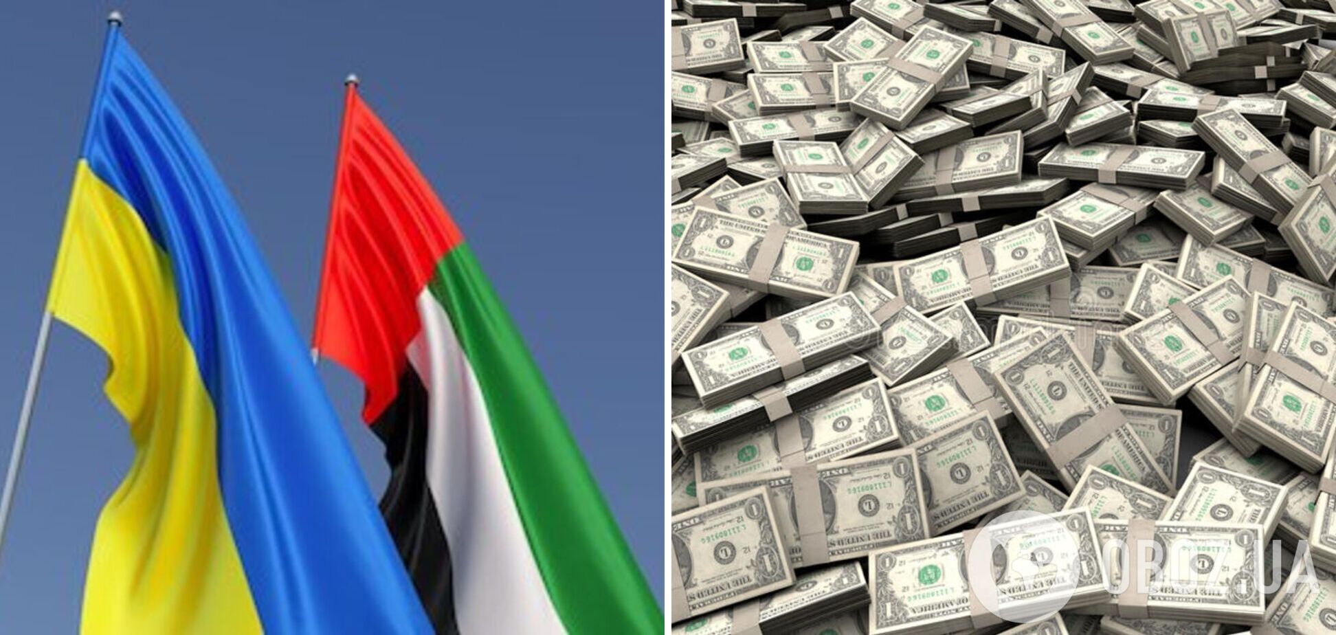 ОАЕ виділили Україні гуманітарну допомогу на $100 млн