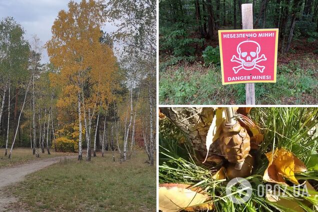 Грибники у лісі знайшли російську розтяжку