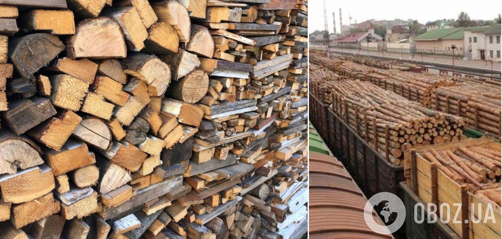 Топливную древесину теперь нельзя отправлять на экспорт