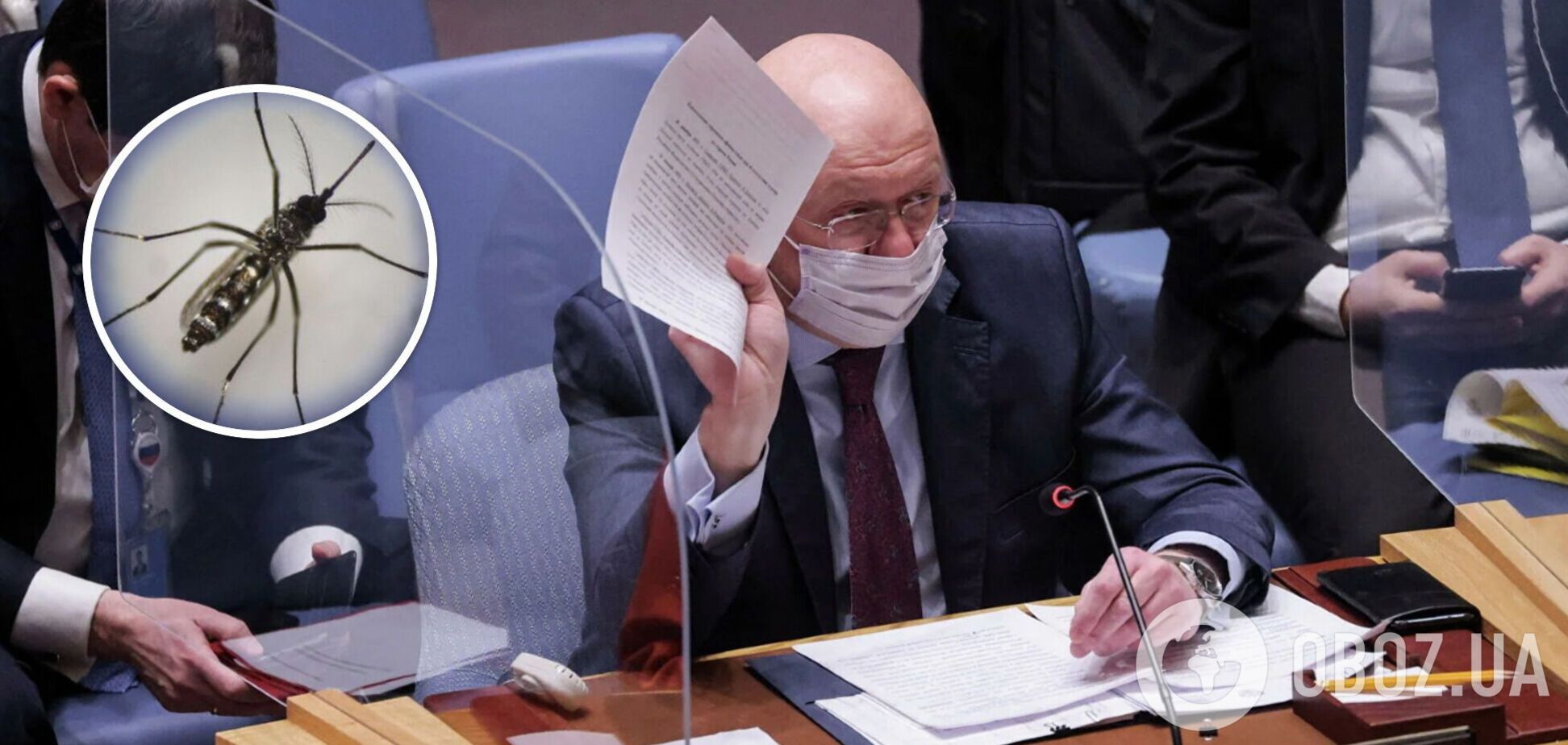Небензя в ООН заявил, что Украина выводила в Херсонской области 'боевых комаров': в сети отреагировали. Видео
