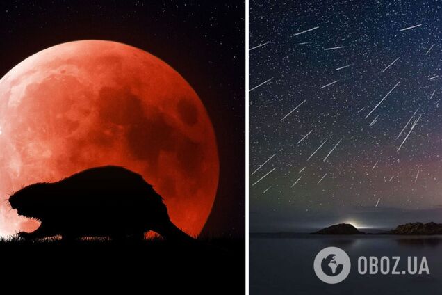 Луна бобра и звездопад Леониды: астрономические события в ноябре 2022 года
