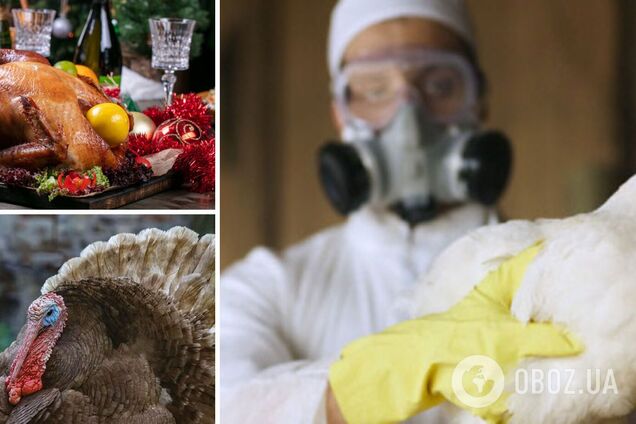 В Британии произошла самая большая вспышка птичьего гриппа, рождественские индейки под угрозой