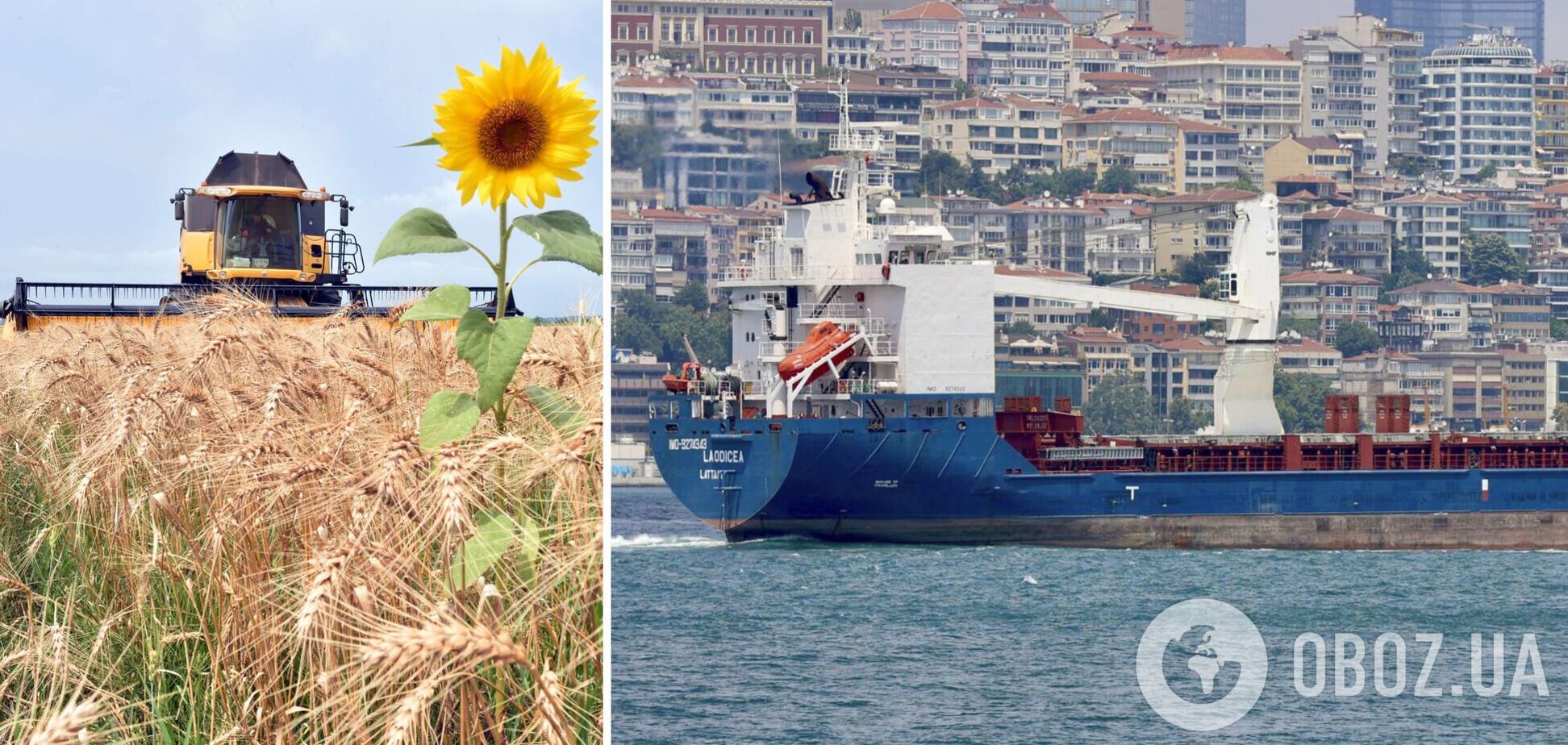 Laodicea показала, як Росії вдається продавати крадене зерно