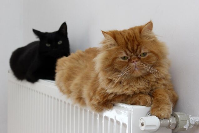 Місто продовжує готуватись до зими