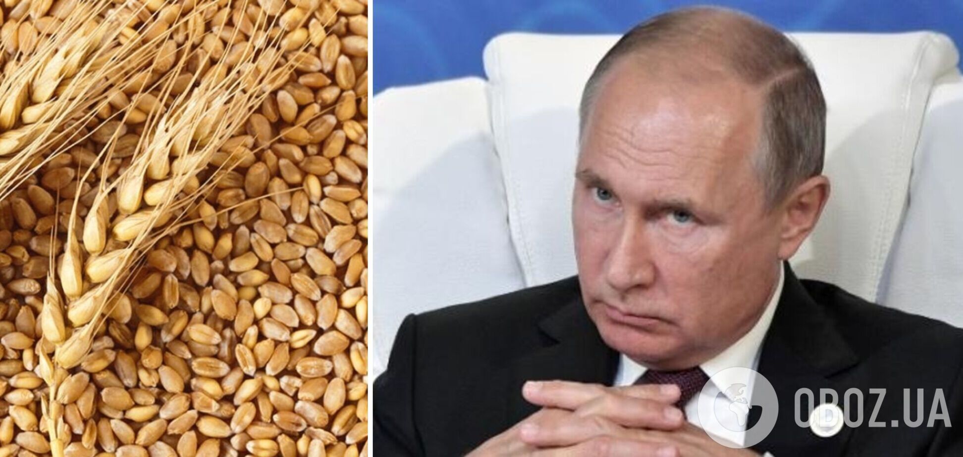 Росія знищує зерно України