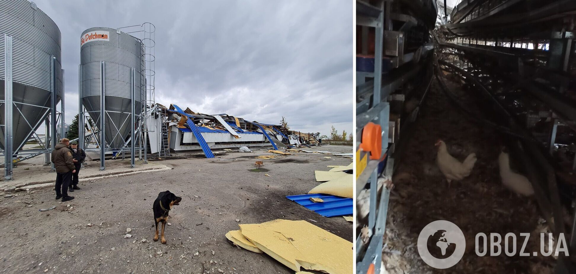 Россия уничтожила одного из самых мощных производителей яиц