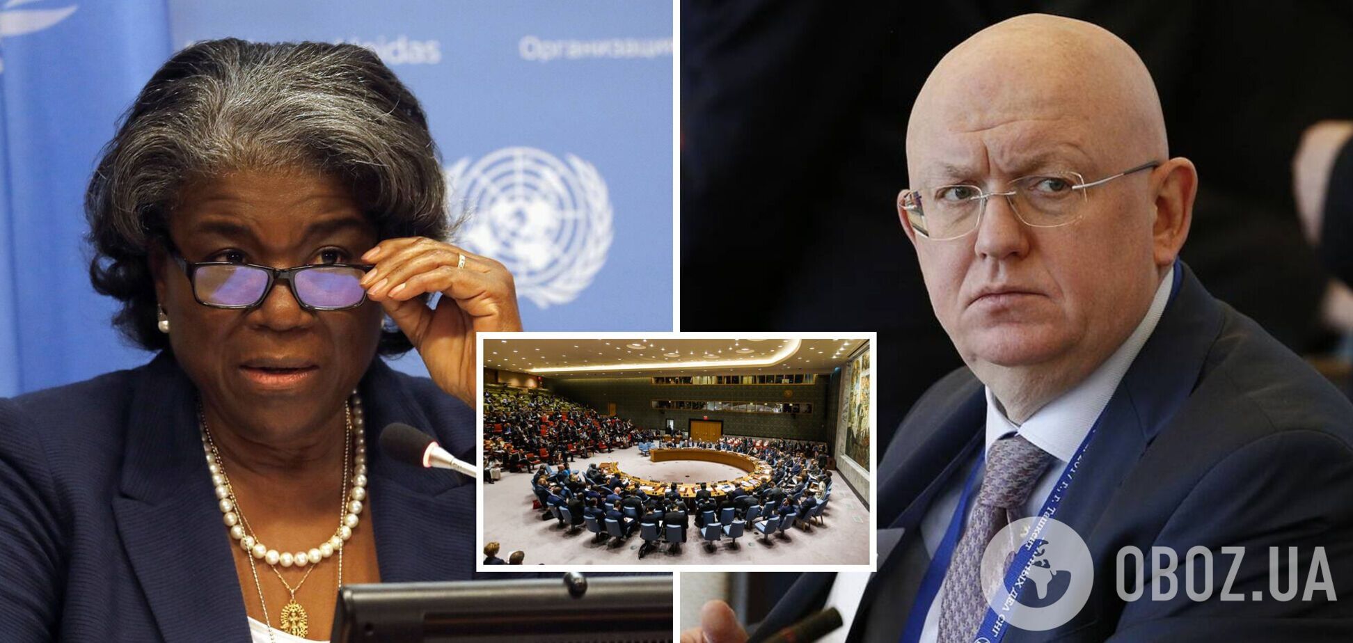 'Летучие мыши не придерживаются суверенных границ, как и РФ': к троллингу России в ООН присоединились США, в сети напомнили видео