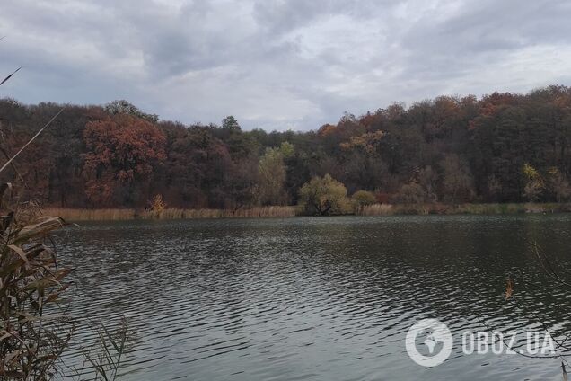 Осадков синоптики не прогнозируют