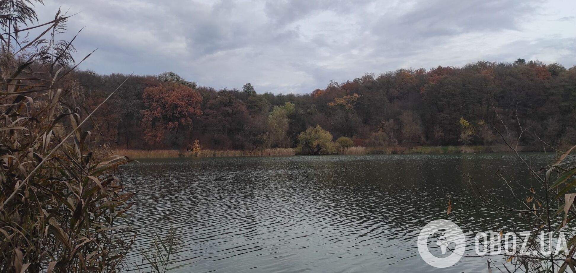 Осадков синоптики не прогнозируют