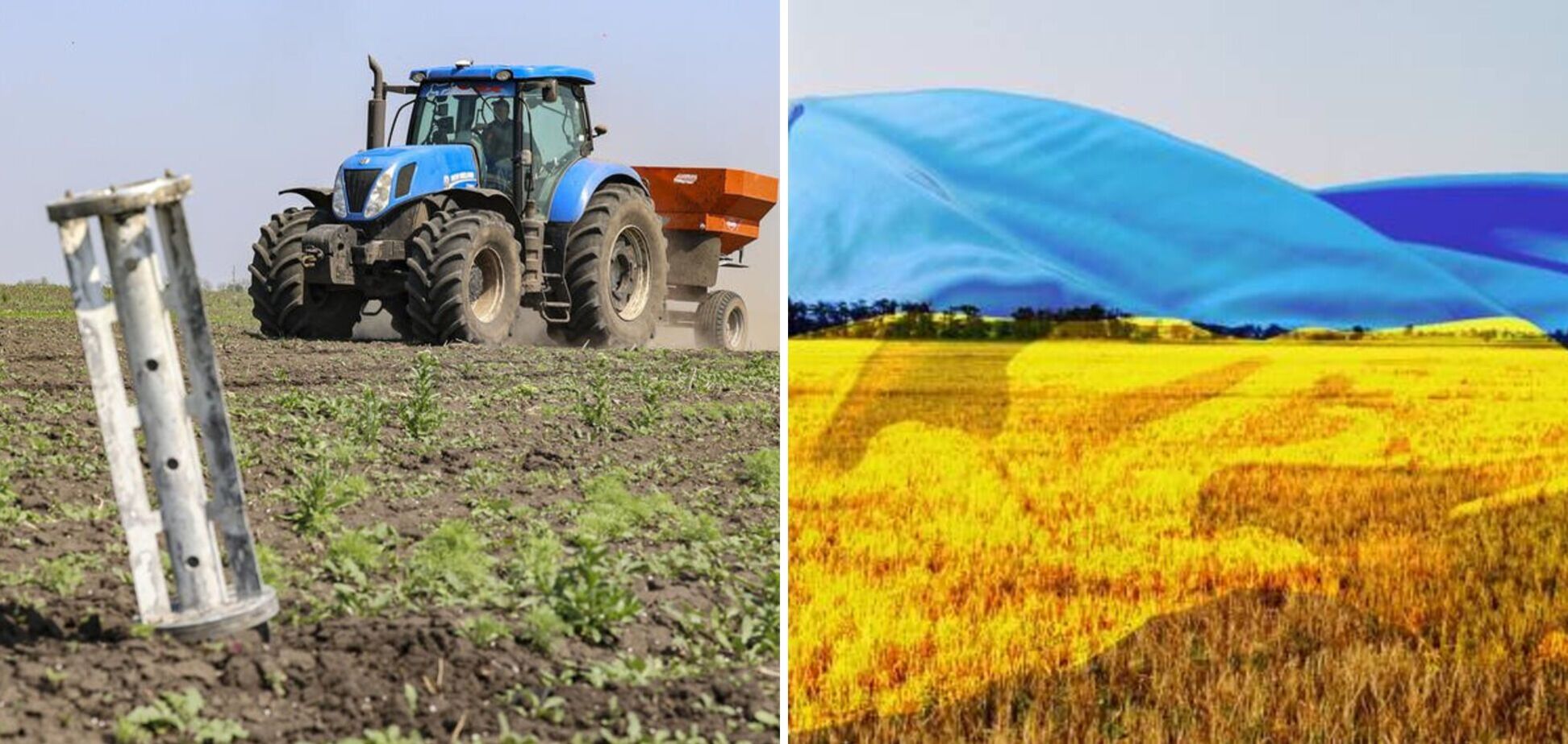 Несмотря на войну, Украина остается житницей Европы: в каких условиях будут работать аграрии в 2023 году