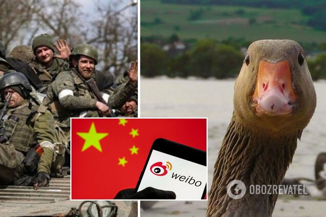 Российскую армию прозвали в Китае 'слабым гусем'