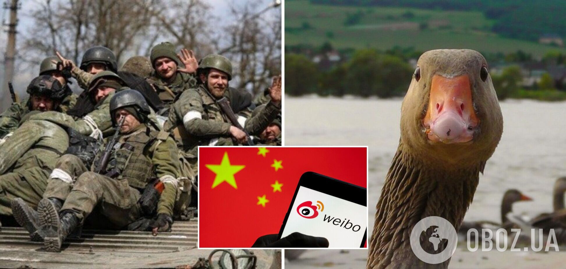 Російську армію прозвали в Китаї 'слабкою гускою'