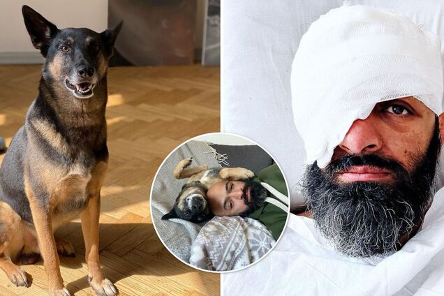 'Верните ему глаз, потому что он не видит, что я страдаю': пес Маси Найема, которого защитник нашел на войне, 'ведет' Instagram