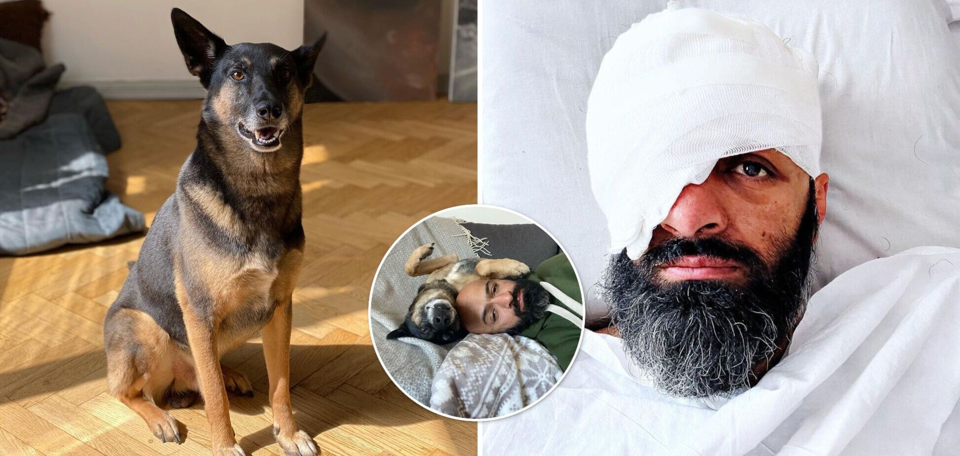 'Поверніть йому око, бо він не бачить, що я страждаю': пес Масі Найєма, якого захисник знайшов на війні, 'веде' Instagram