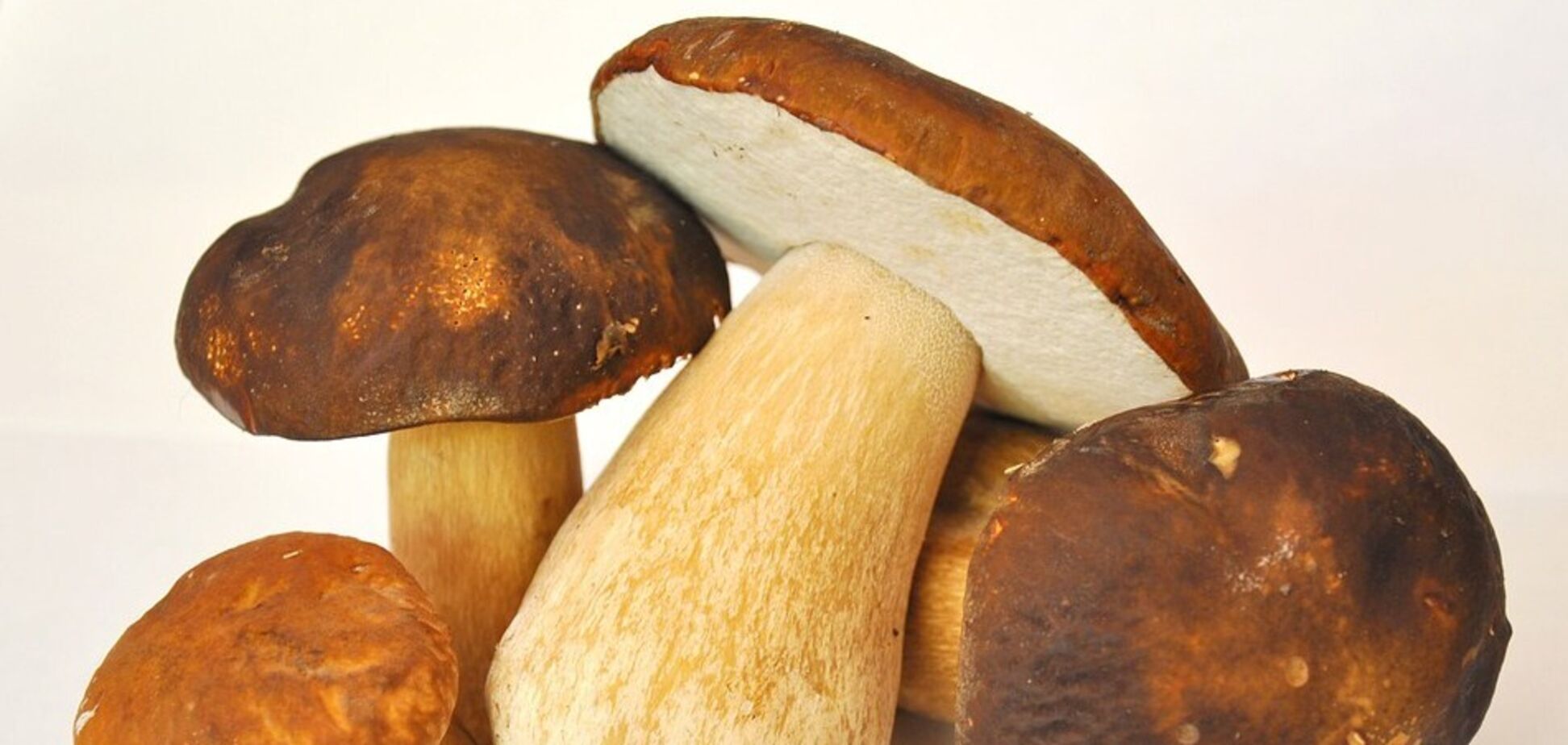 Как вкусно пожарить белые грибы с луком: к кашам, макаронам и даже мясу