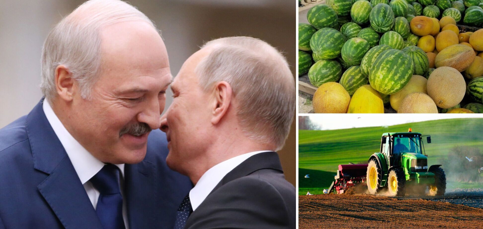 Лукашенко подарував Путіну трактор, а президент Таджикистану – піраміди з динь та кавунів. Фото і відео