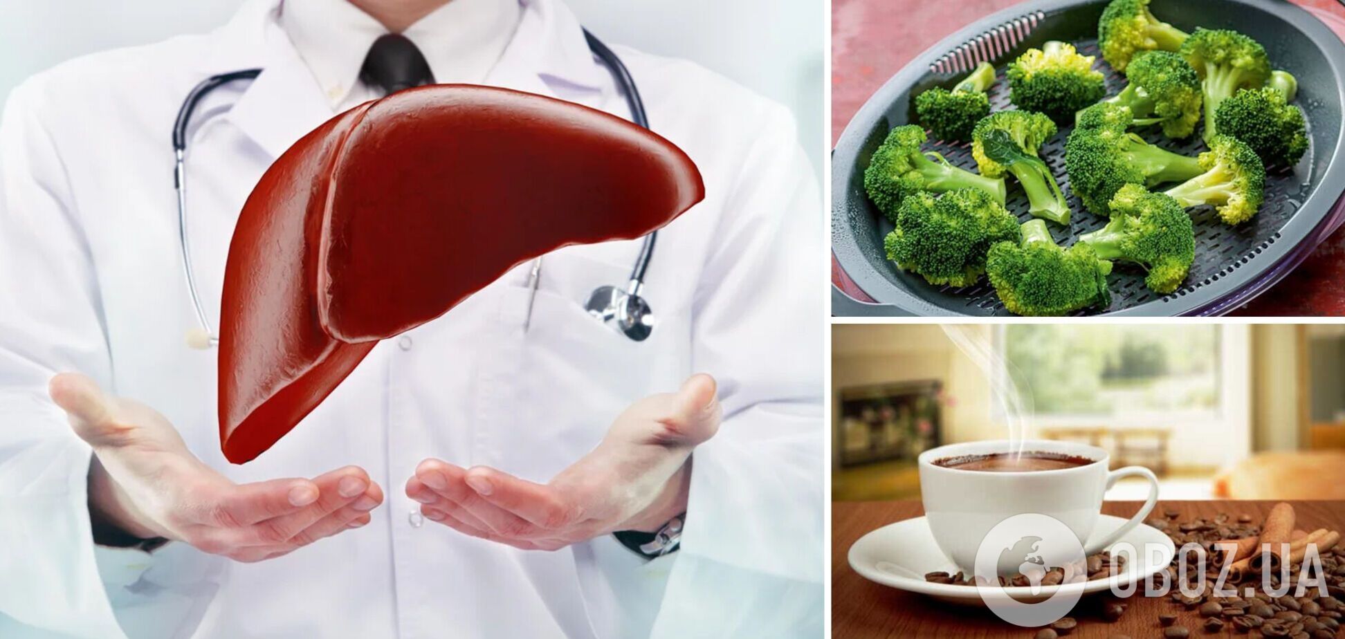 Как защитить печень от токсинов: врачи назвали 5 здоровых привычек