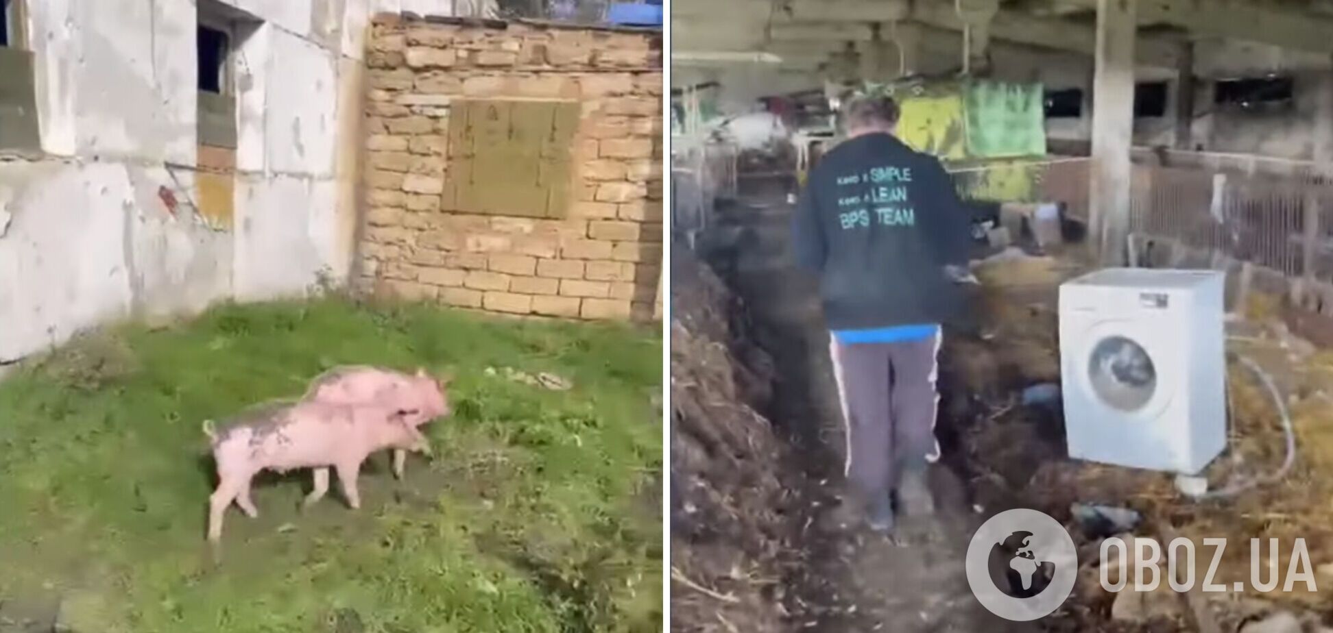 Где и как жили оккупанты в Любимовке