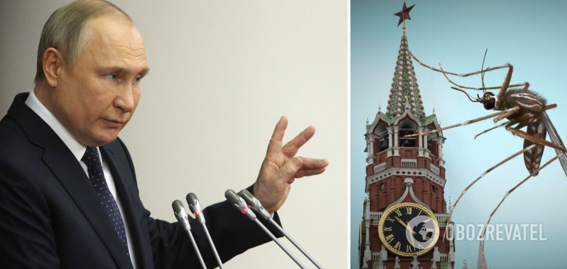Боевой комар с головой Путина распространяет заразу 'русского мира'