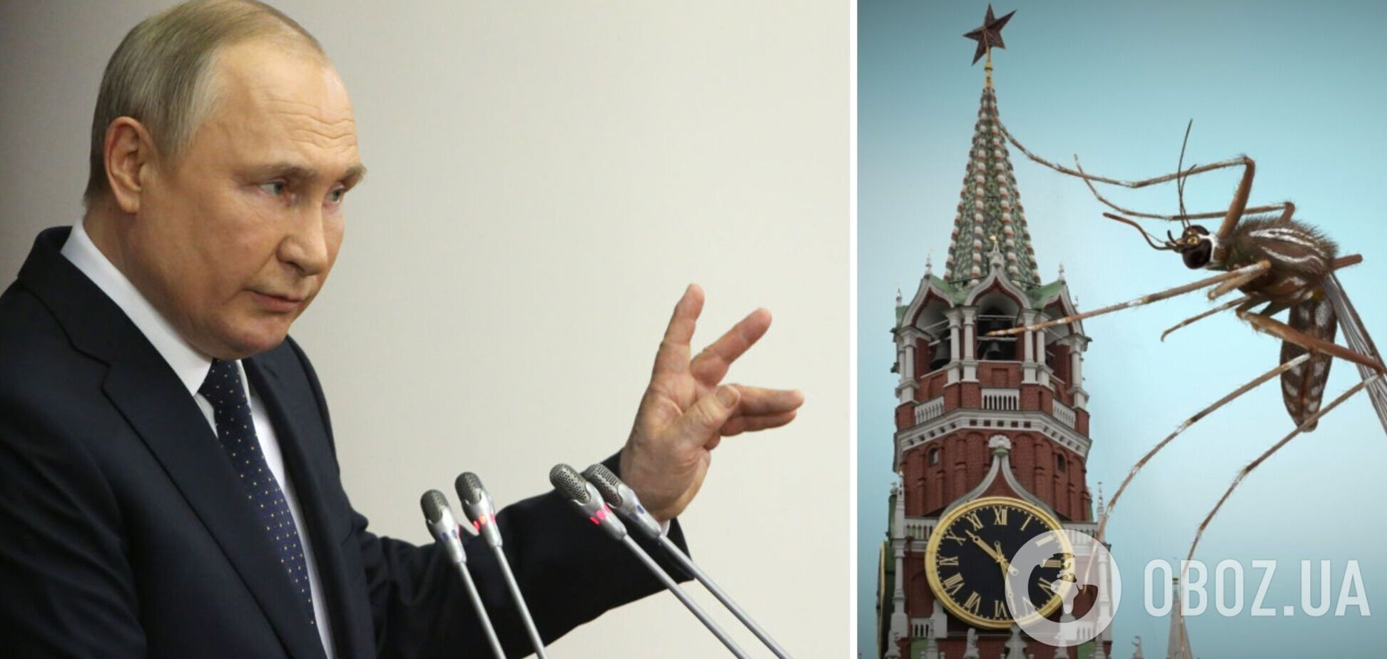 Бойовий комар з головою Путіна поширює заразу 'русского мира'