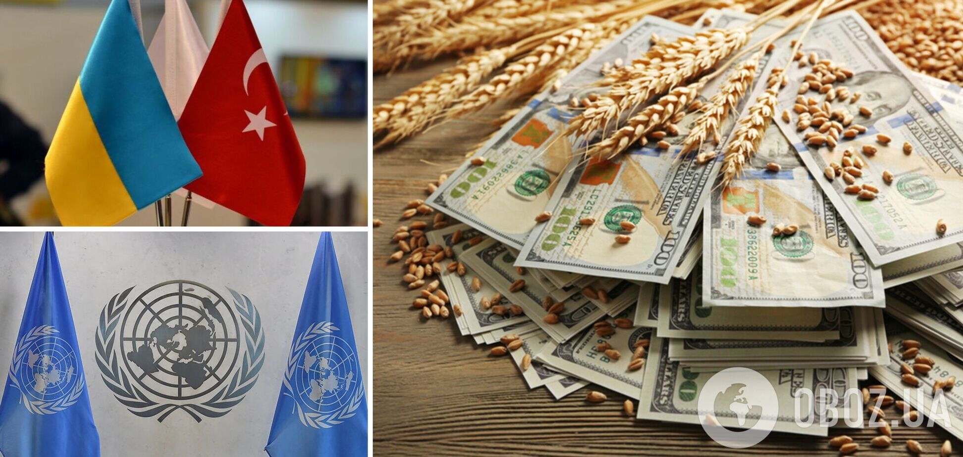 Украина, Турция и ООН приостановили действие 'зернового коридора'