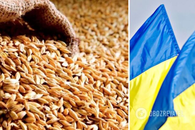 Урожай зерновых в Украине в 2023-м снизится