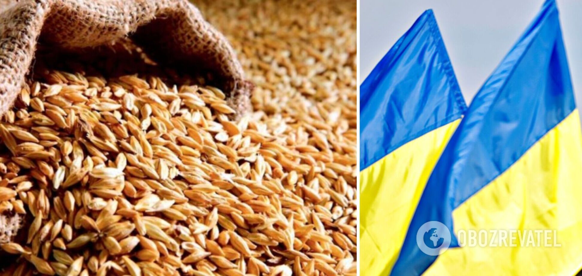 Урожай зерновых в Украине в 2023-м снизится