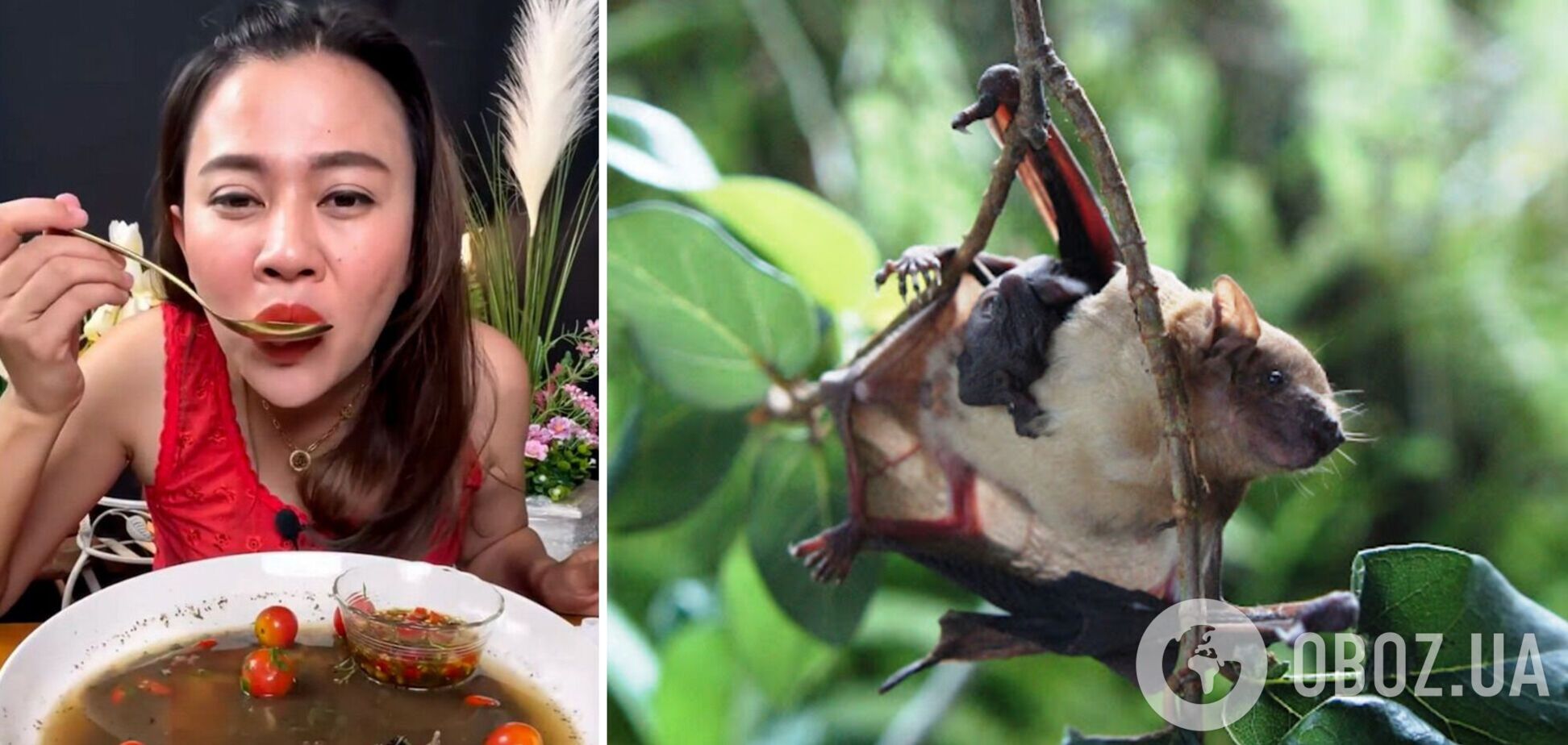 Блогерку відправили за ґрати за відео із поїданням кажана, якого пов‘язують із COVID-19. Фото