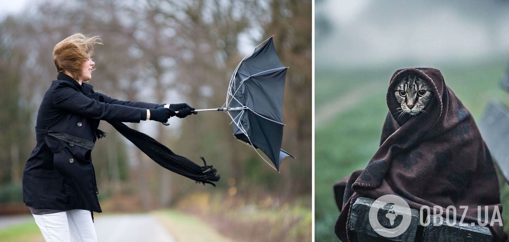 До 10 тепла, але вітряно: в Укргідрометцентрі розповіли про погоду у вівторок. Карта
