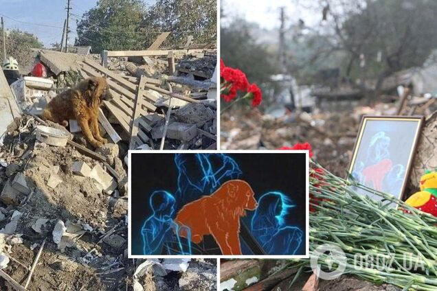 В Днепре сообщили о смерти собаки Крыма