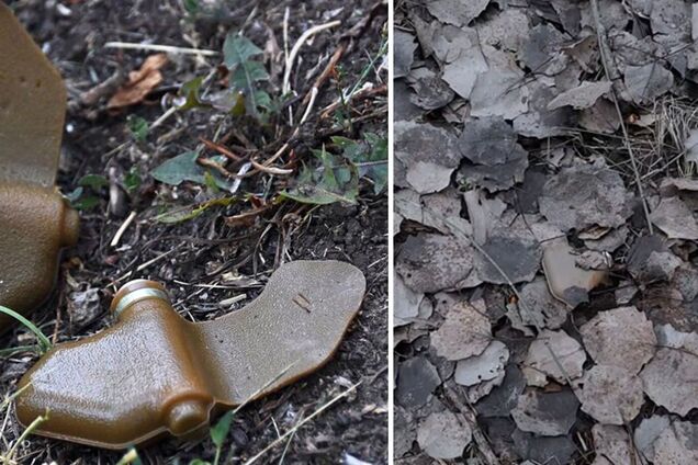 Травмирует взрослого, а ребенка убивает: что нужно знать об опасных 'лепестках'. Видео