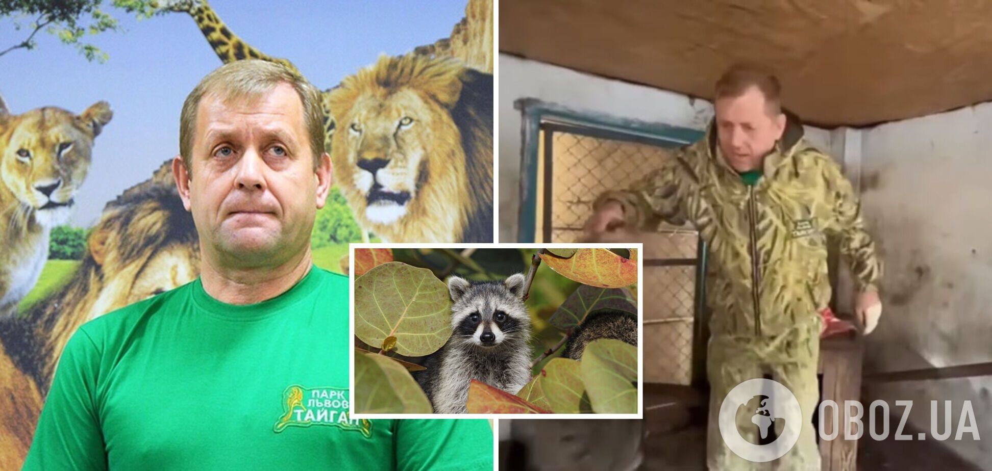 Єнота з Херсона викрав скандальний власник кримського зоопарку: ще недавно був у СІЗО. Відео