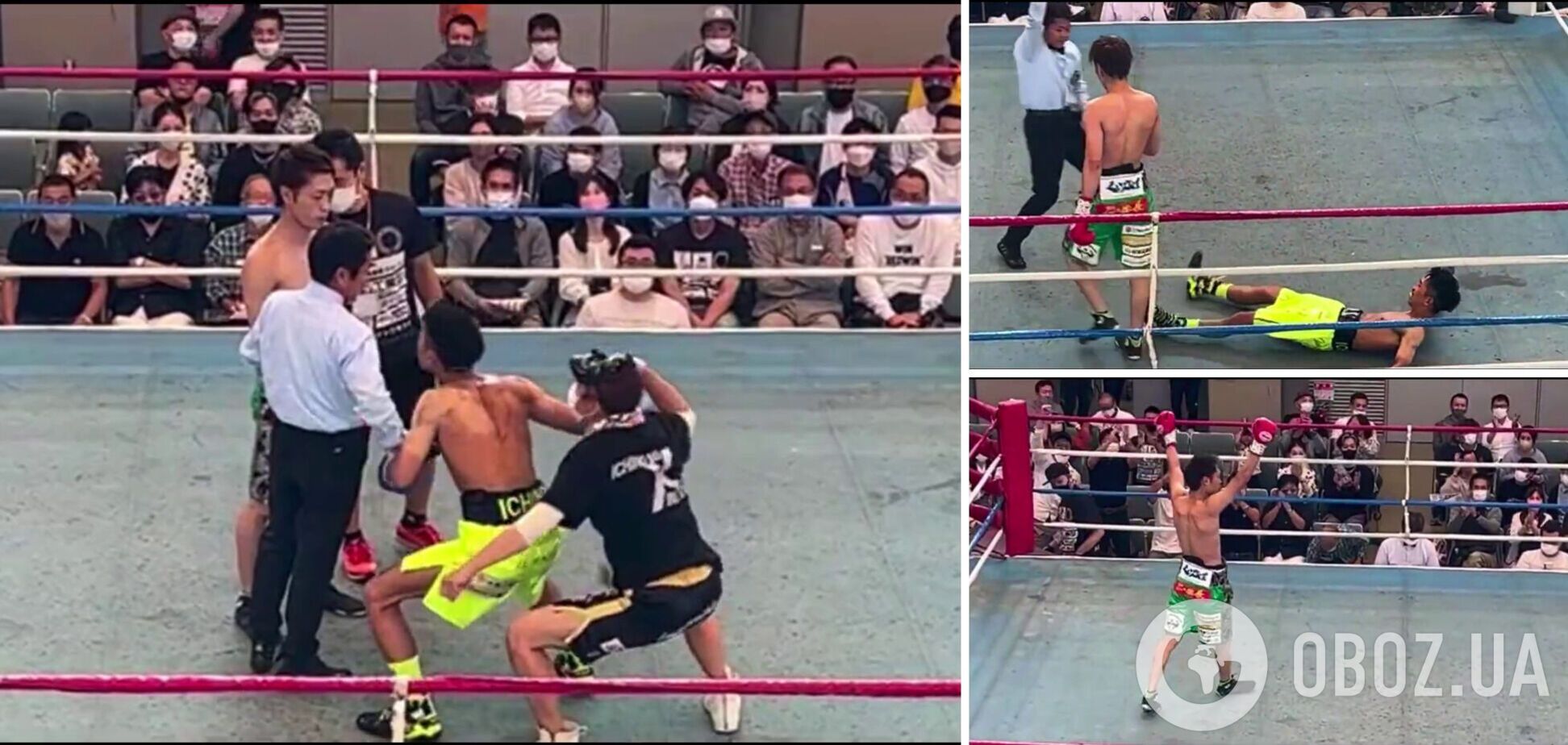 В Японии боксера настигла карма за понты перед боем. Видео