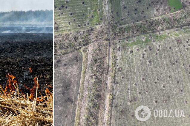 Вторжение России нанесло убытки экологии Украины