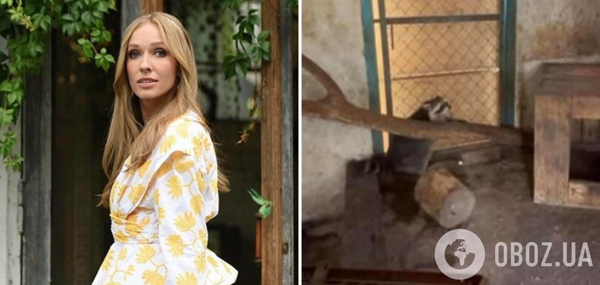 'Позорники': Осадча відреагувала на викрадення окупантами єнота з Херсона