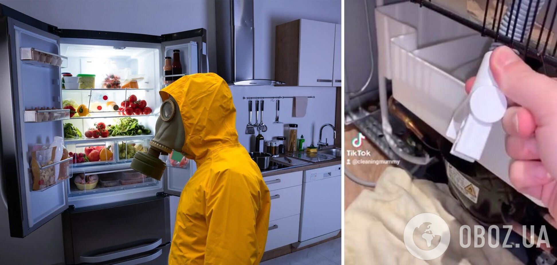Як позбутися смороду з холодильника: жінка виявила таємний піддон, який треба регулярно чистити