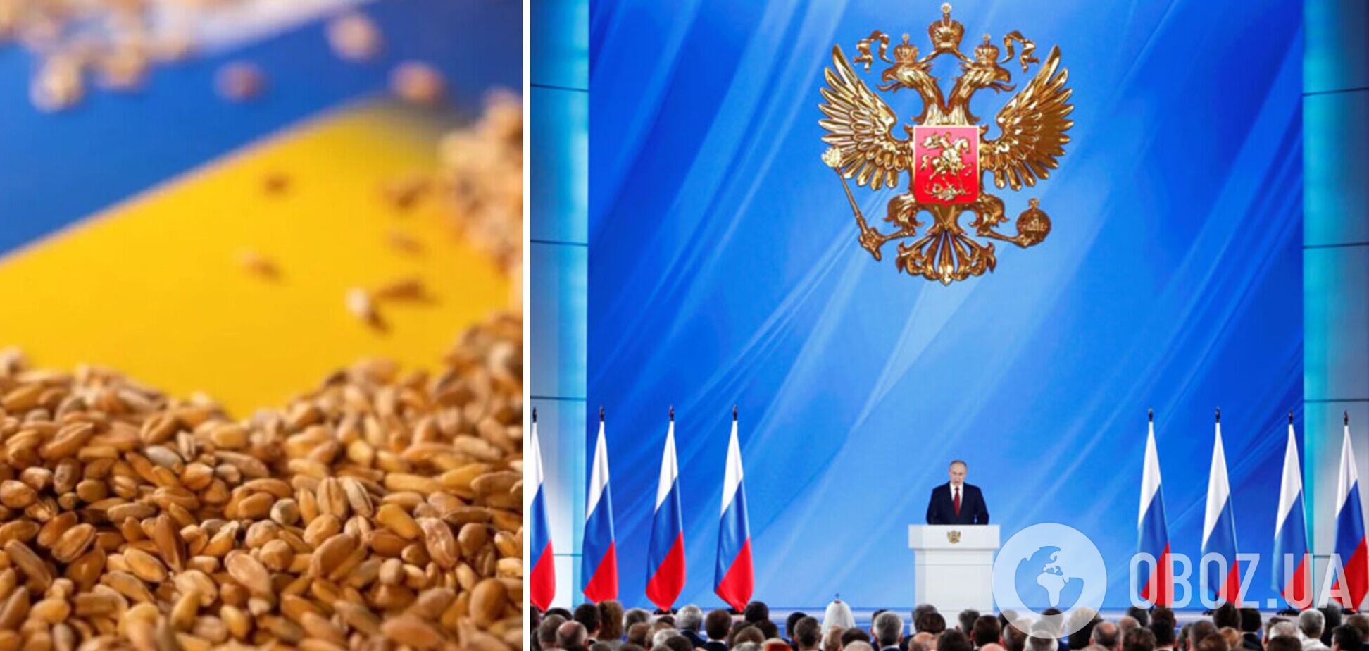 Россия хочет контролировать поставки зерна из Украины