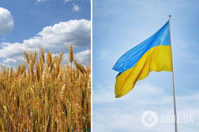 Украинская агропромышленность понесла огромные прямые убытки из-за развязанной Россией войны